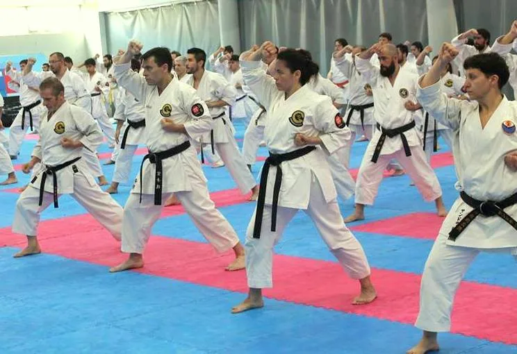Karate -Do