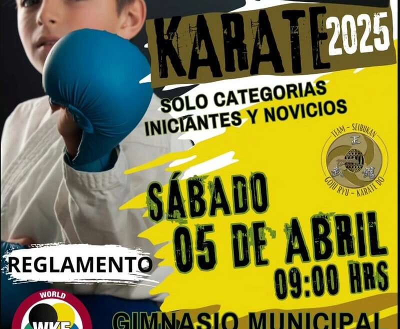 VII Torneo Open Novicios Seibukan: Un Éxito Rotundo