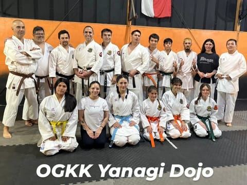 ¡Bienvenidos Yanagi Dojo a OGKK!